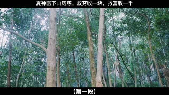 第1段:夏神医下山历练,救穷收一块,救富收一半.