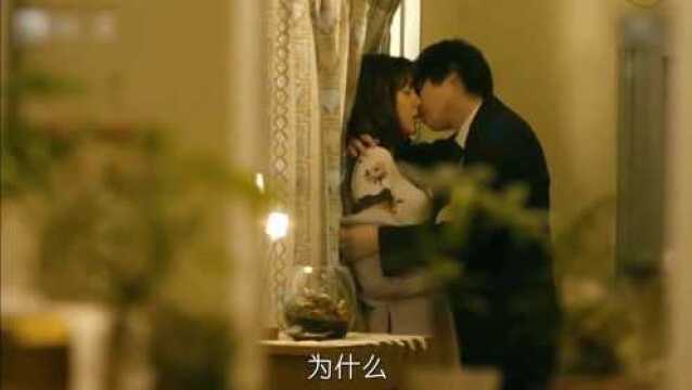 完美犯罪2:只要姐姐身体好,两个男人不是问题