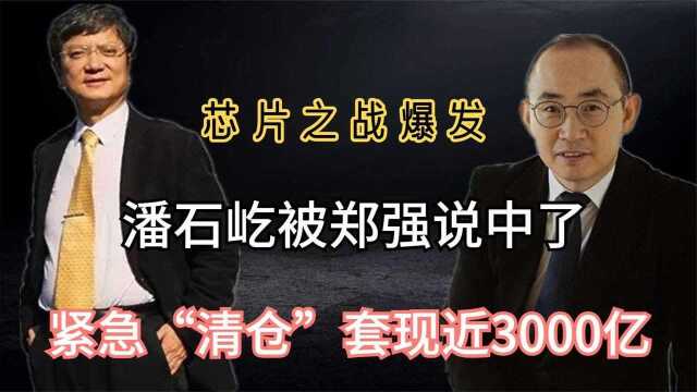 芯片战刚开始!被郑强教授一语言中,潘石屹紧急清仓套现近300亿