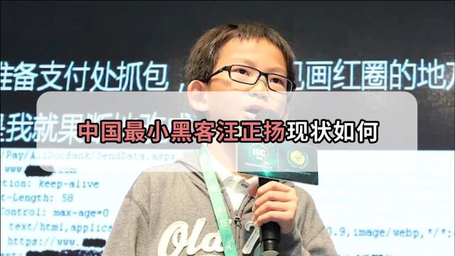 8岁自学编程上网“偷菜”的小黑客汪正扬,现在怎么样了?