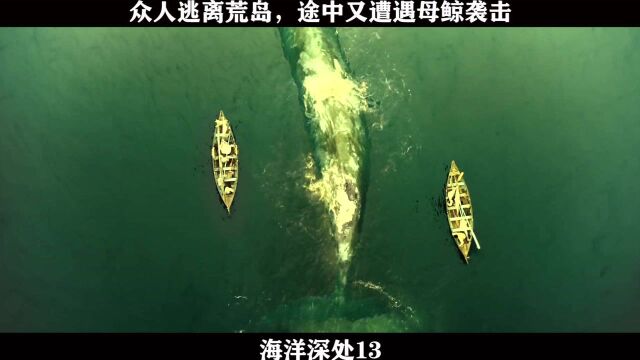 海洋深处13 众人逃离荒岛,途中又遭遇母鲸袭击