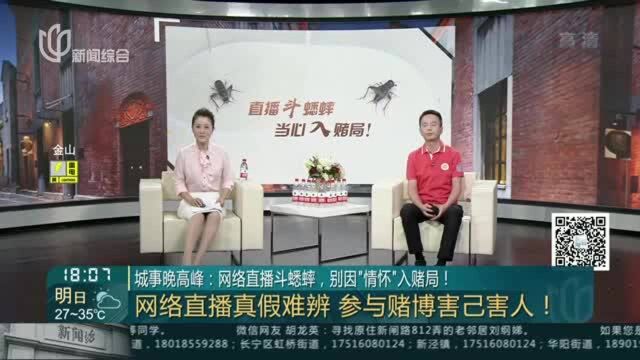 城事晚高峰:网络直播斗蟋蟀,别因“情怀”入赌局!——网络直播真假难辨 参与赌博害己害人!