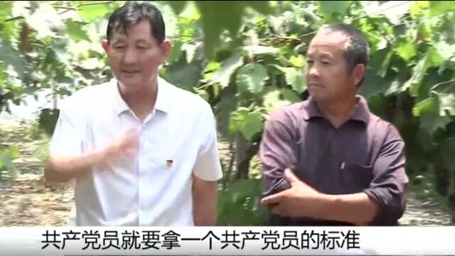 乡村振兴 百年梦圆:正阳县永兴万安村第一书记和他的第二故乡