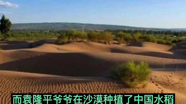 易志坚使沙漠变为农田,攻克世界难题!与袁隆平爷爷同是当代“神农” !