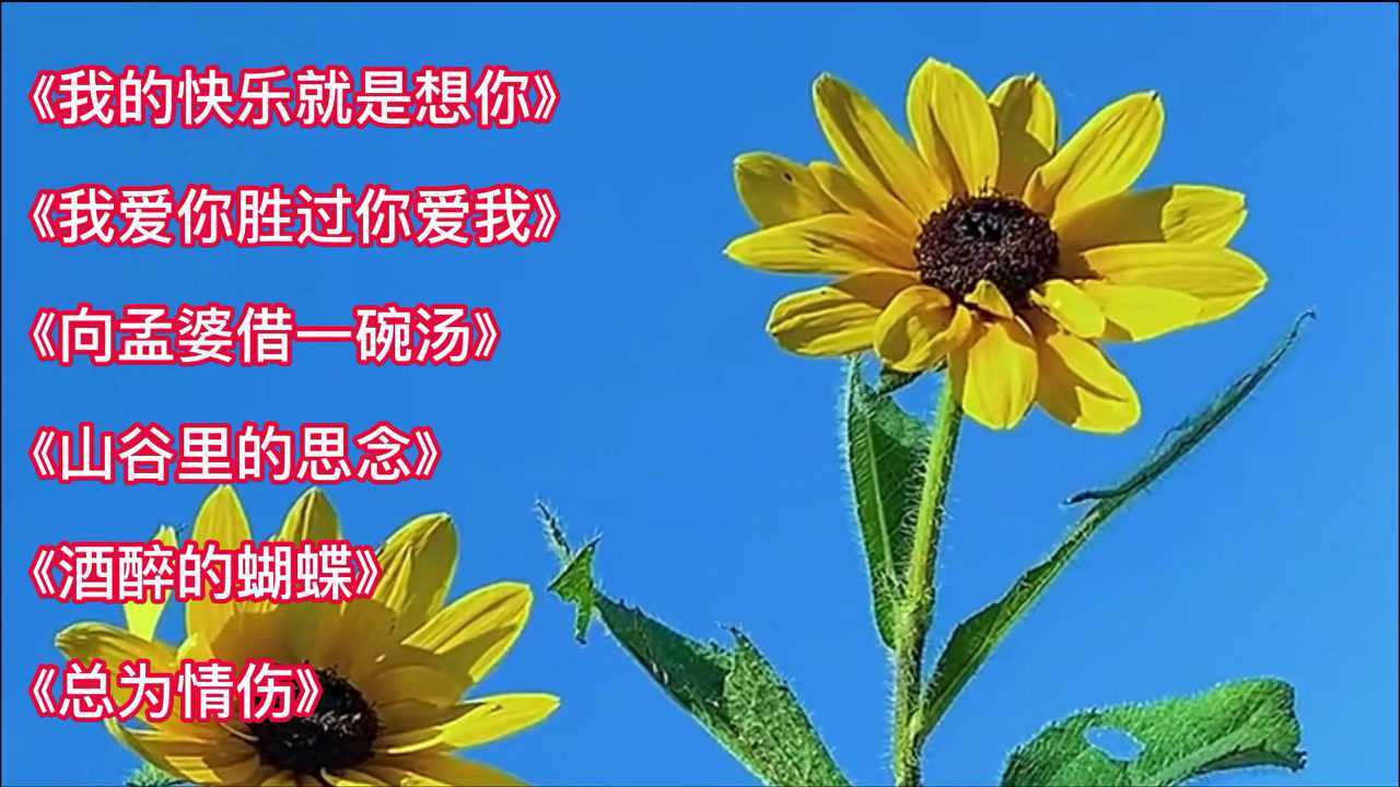 歌曲《我的快樂就是想你》《我愛你勝過你愛我》《向孟婆借一碗湯》