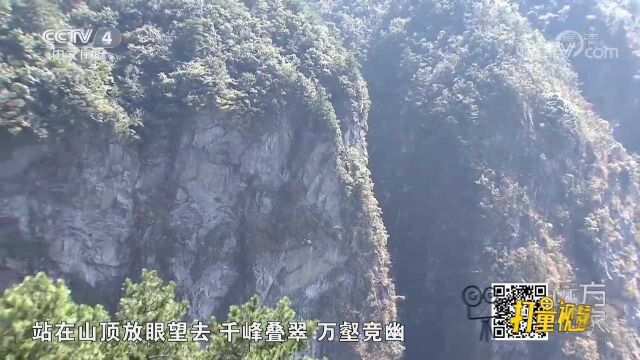 站在九宫山的山顶上放眼望去:千峰叠翠,万壑竞幽