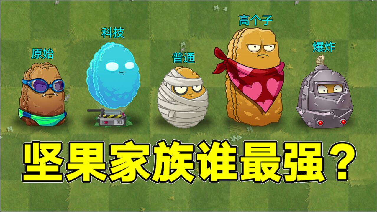 植物大战僵尸:坚果家族谁最强?