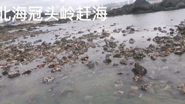 北海赶海的好地方