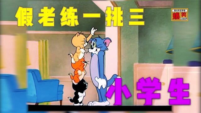 猫和老鼠四川方言版:难得的猫鼠联合1