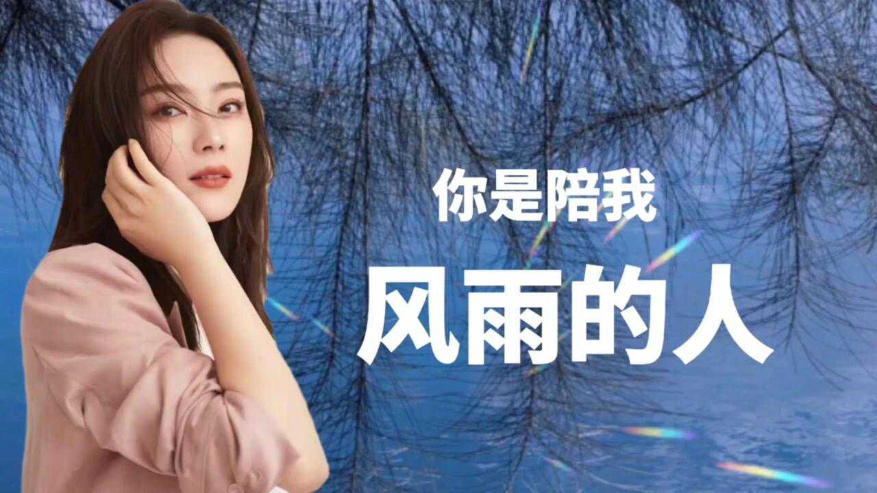 红蔷薇你是陪我风雨的人你陪我走过风雨经历沧桑我携子之手与子偕老