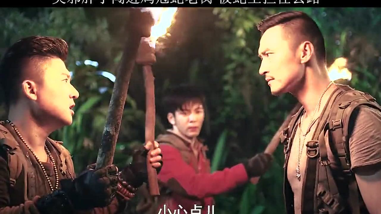 终极笔记续集潘子被鸡冠蛇袭击阿宁也永远的离开了