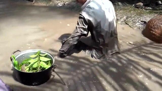 村民们水沟中抓虾捕鱼,虽然收获不多但是抓的很过瘾