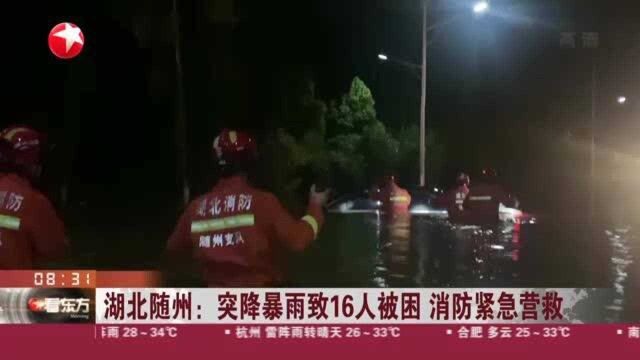 湖北随州:突降暴雨致16人被困 消防紧急营救