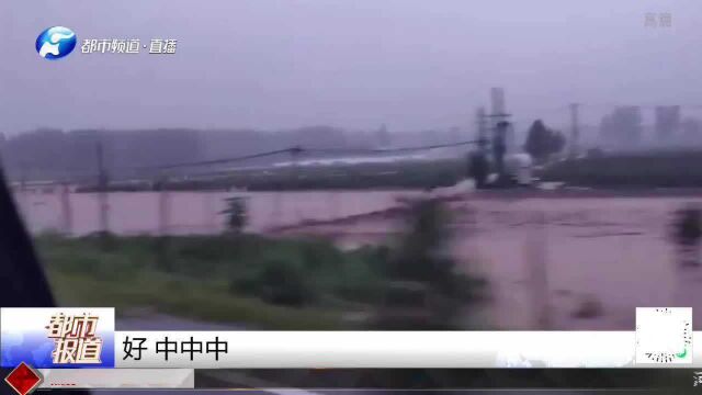 河南洛阳暴雨,“神鹰”来救援,百姓很安心!