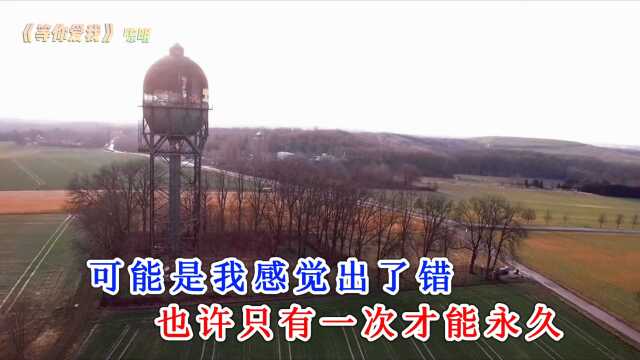 九十年代怀旧经典——陈明代表作《等你爱我》