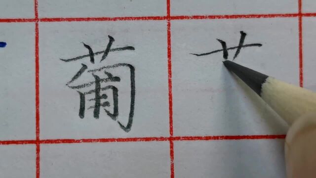 “葡”字怎样写?草字头的宽窄由下半部决定,合理调节上下的宽窄