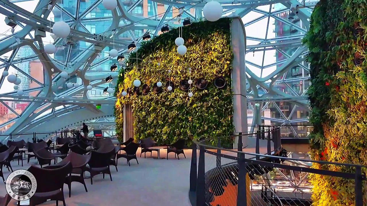 亚马逊总部游记(二):完美的室内热带雨林景观_腾讯视频