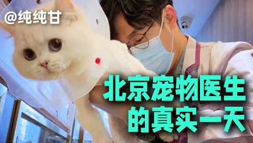 【浮生一日】北京宠物医生的真实一天