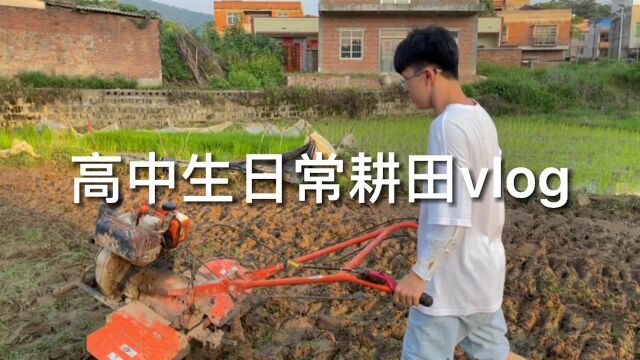 高中生日常耕田vlog