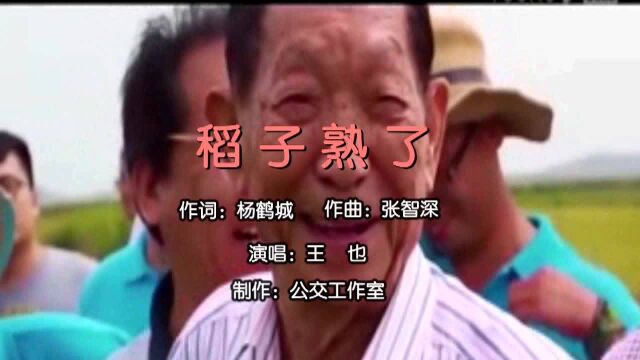 稻子熟了(杨鹤城词,张智深曲,王也演唱)