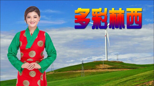 降央卓玛《多彩林西》,大美林西,梦里的田园画廊!