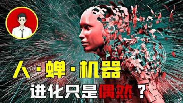 懂数学的蝉与智能机器人,人类的进化真的只是偶然吗?