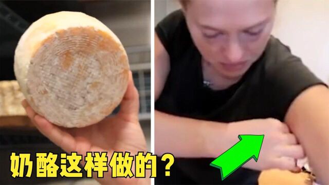 7个看完你绝对不会再买的食物,奶酪是用胳肢窝里的分泌物制成?