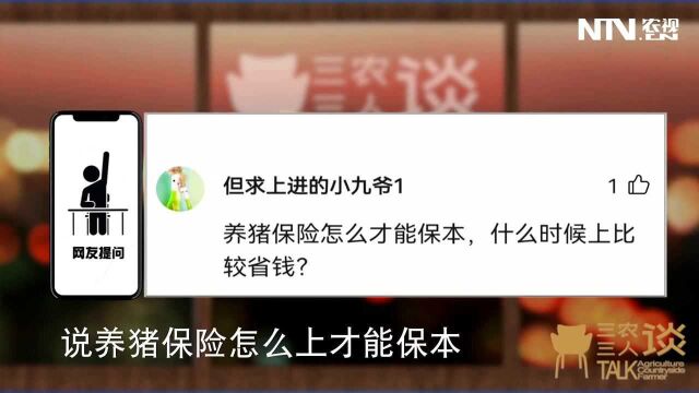 养猪保险怎么上才能保本儿,什么时候上比较省钱:生猪保险呼唤升级收入保险