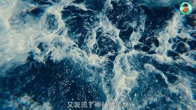 6种藏在百慕大三角下的神秘生物这里的鲨鱼把蓝鲸当移动零食