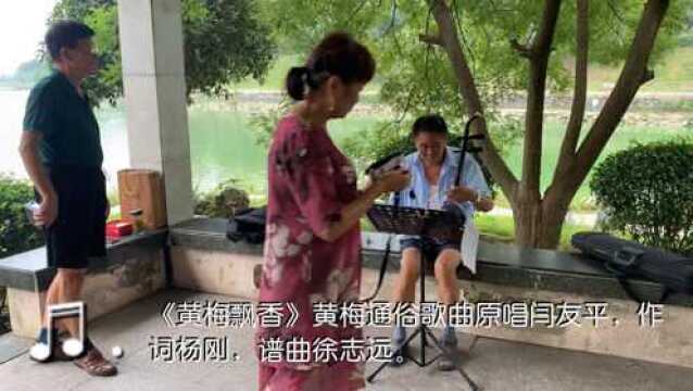 黄梅调通俗歌曲《黄梅飘香》赏析:无为市环西路公园市民休闲表演文艺.