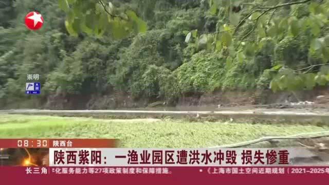 陕西紫阳:一渔业园区遭洪水冲毁 损失惨重