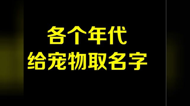 各个年代给宠物取名