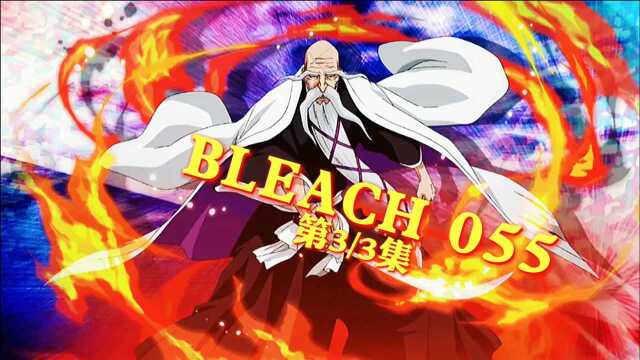 BLEACH 055 最强死神!师徒对决 (下)