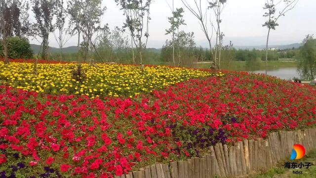 吉林敦化六鼎山吉祥花海牡丹园,花开吉祥