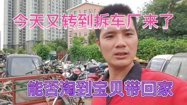 修车小伙来到拆车厂、能否淘到宝贝带回家