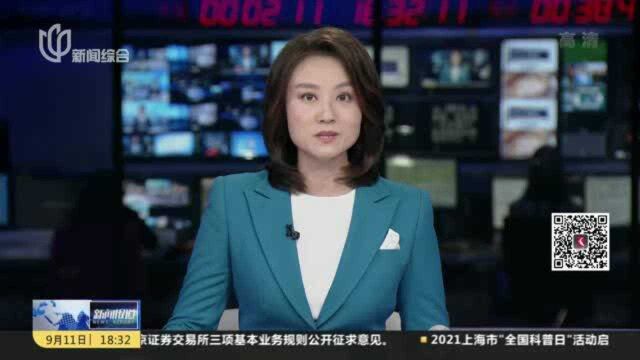 上海:涉企税种综合申报“一网打尽” 企业申报再减负