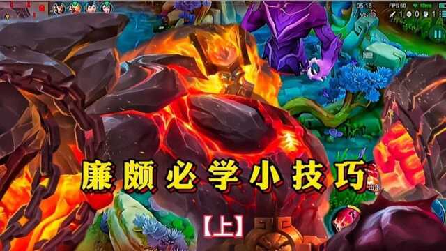 全网廉颇最详细教学,廉颇毫无私藏全部倾囊相授谁看谁上大分《上》