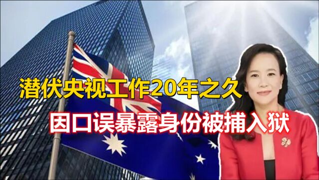 著名主持人在我国潜伏20年之久,因口误暴露间谍身份被捕