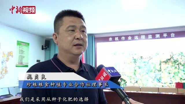 “甩手掌柜”的丰收年:土地托管托出农民好“钱景”