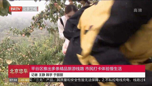 平谷区推出多条精品旅游线路,市民打卡体验慢生活