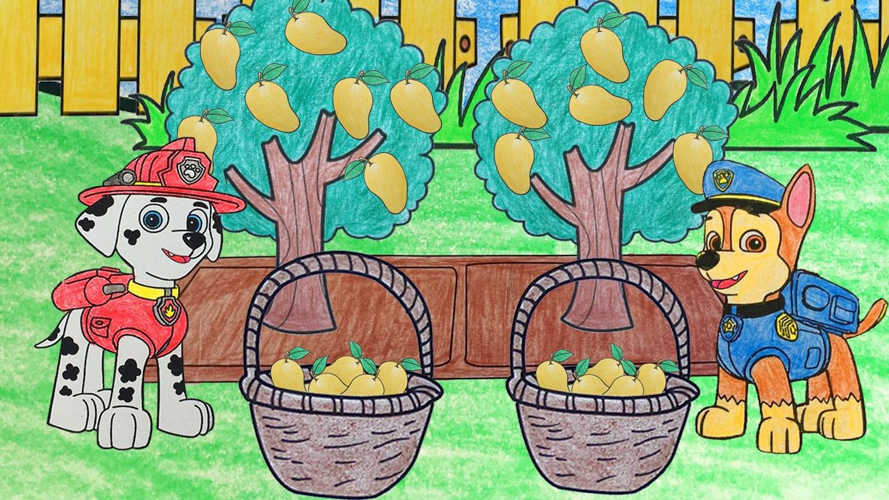 汪汪队立大功手绘动画手绘定格动画毛毛学种芒果树最后长出好多芒果