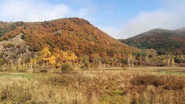 沿途风景,伊春去佳木斯