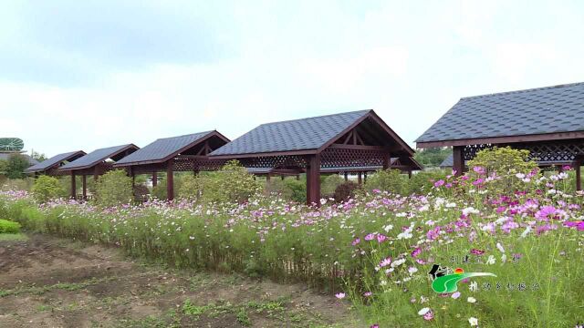 黄腊乡羊边城村:依托湿地公园,打造乡村旅游