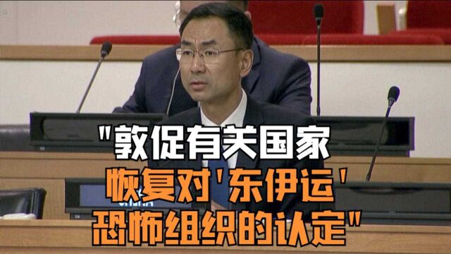 耿爽:敦促有关国家恢复对“东伊运”恐怖组织的认定