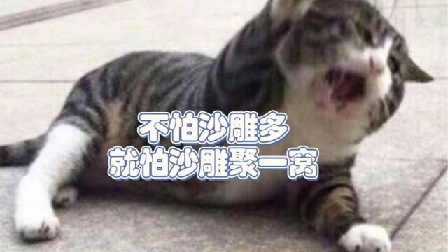 盘点那些沙雕行为:不怕沙雕多,就怕沙雕聚一窝