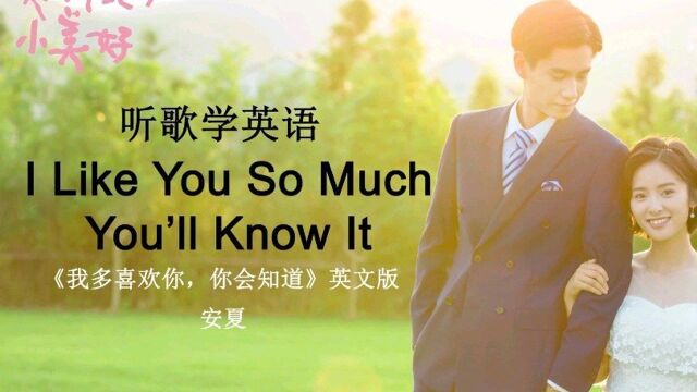 听歌学英语丨《我多喜欢你,你会知道》英文版,超甜哒!#学习 #音乐 #英语 #英文歌