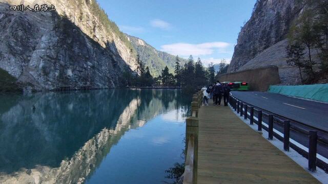 九寨沟熊猫海,山水交映,景色不错