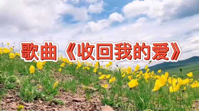 一首好听的DJ歌曲《收回我的爱》节奏欢快,歌声甜美!