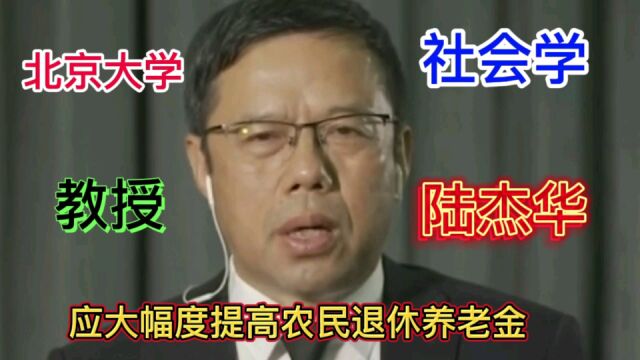 北京大学社会学系陆杰华教授:应大幅度提高农民退休养老金