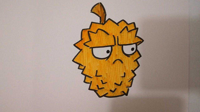 画植物大战僵拥有大眼睛的皱眉榴莲